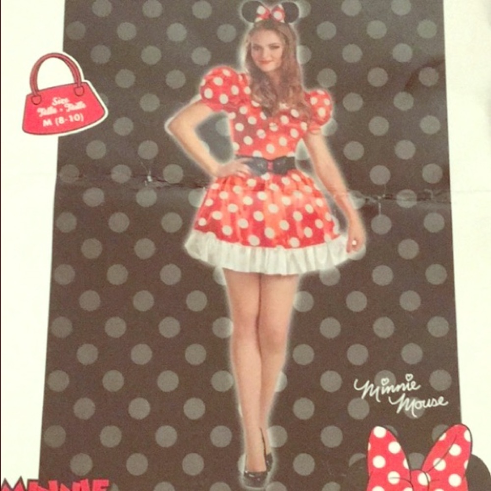 ❤️Minnie Mouse costume❤️